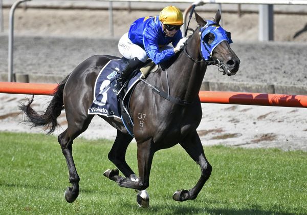 Giacomo takes out South Waikato Cup