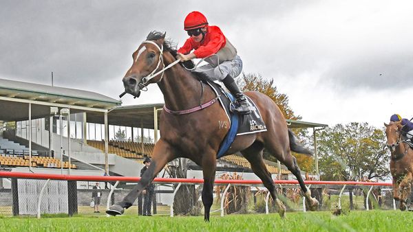 Well-Performed Pair Set for High Hopes This Autumn