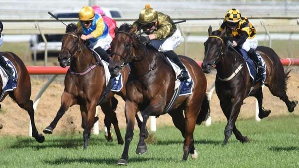 Kingsclere substitution in NZB Kiwi after Dealt With withdrawn