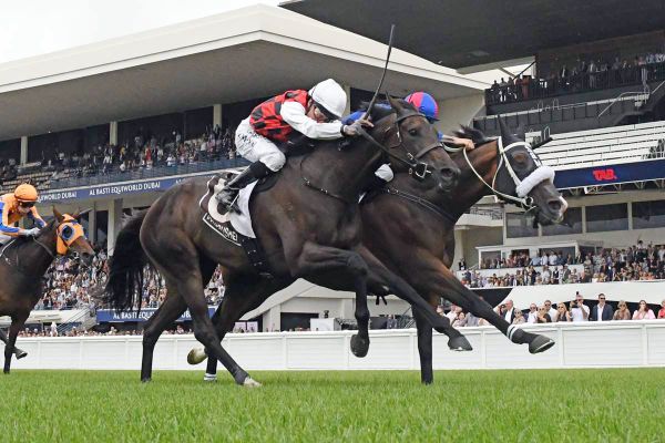 Tancred test for La Crique