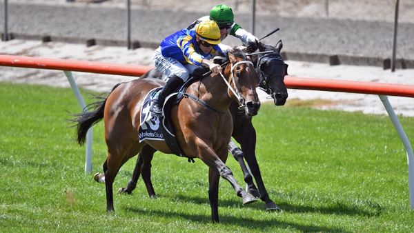 Marsh continues winning roll with juvenile fillies