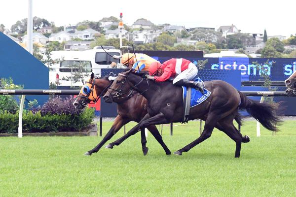 Sires’ locked in for classy two-year-old