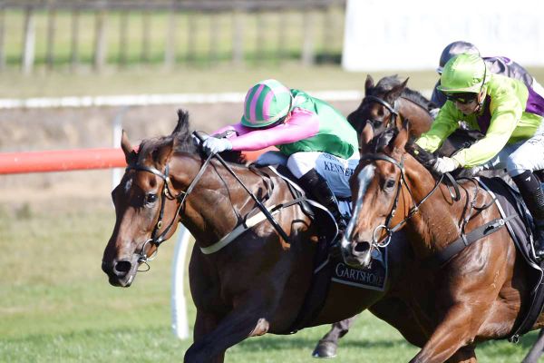 Logan back on the board in New Zealand