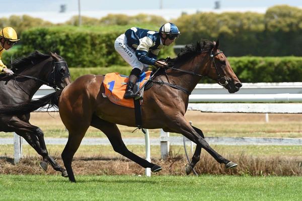 Last Kiwi dance looming for Lucy in Oaks