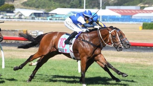 Lhasa unleashes down Trentham chute