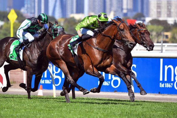 Goodwood back in Group limelight