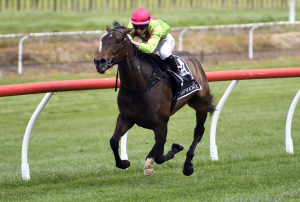 Oaks Contender Progressing Well in Focused Preparation