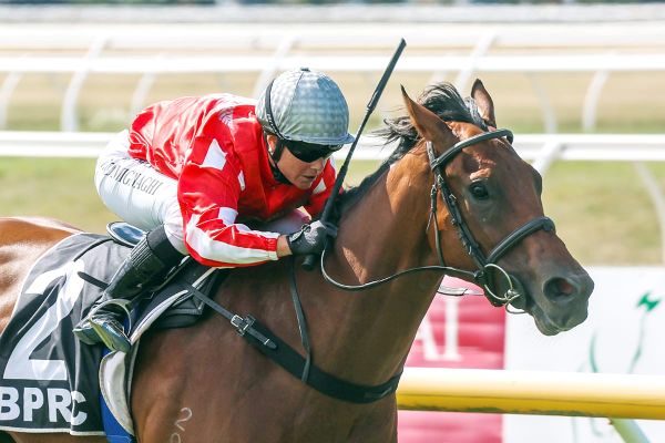 Pitmans Hope Lightning Strikes Again at Trentham