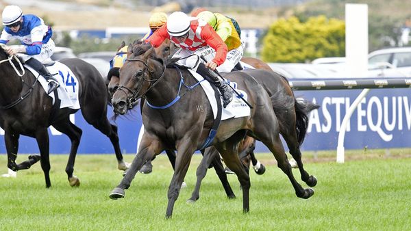 December is stepping up for Kingsclere