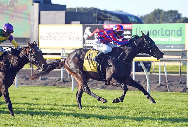 Wanganui a good fit for Orlov