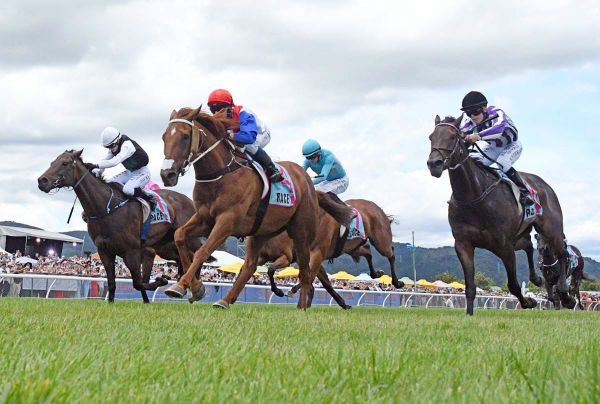 Course Specialist Set for Flying Assignment Return