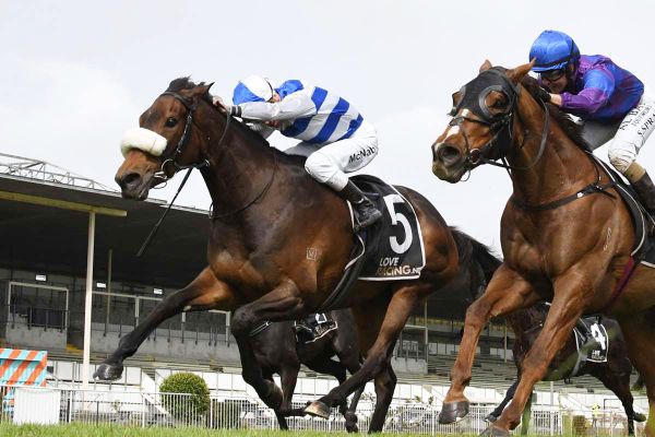 Broodmare paddock beckoning Pearl Of Alsace