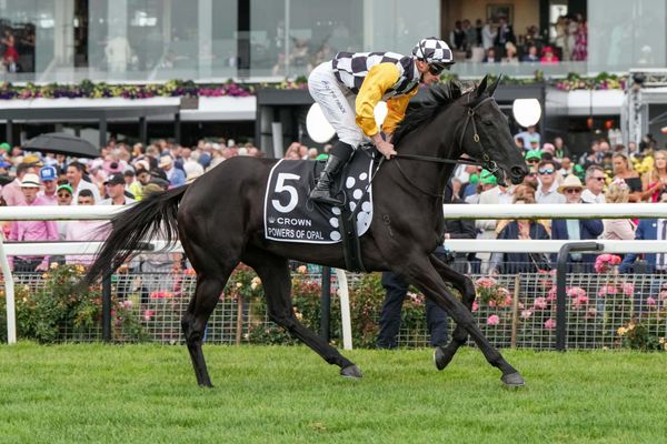 Powers of Opal out to stake Oaks claims