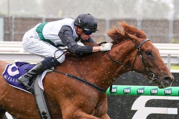 Mini Brightside Gears Up for Toughest Challenge