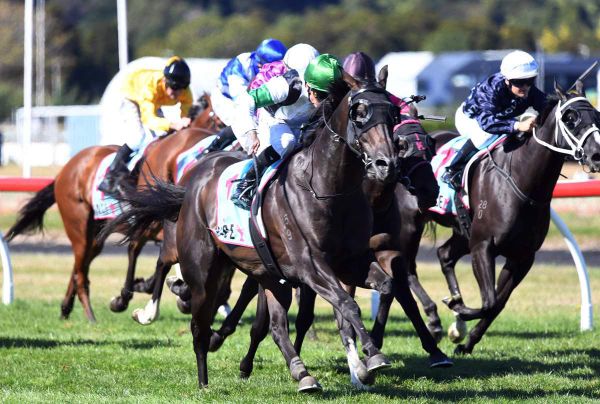 Stakes assignment for chute specialist