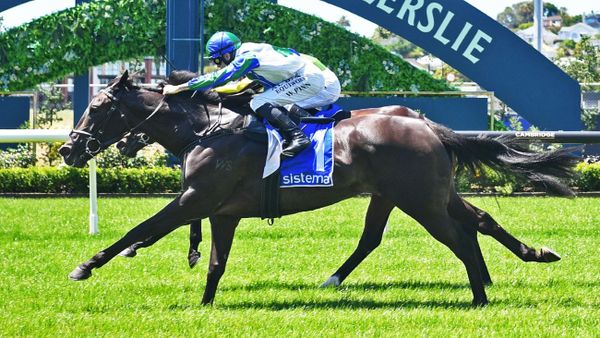 Smart 3YO Following Path of Star Performer
