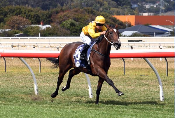 Sales Strategy Yields Two Group One Contenders