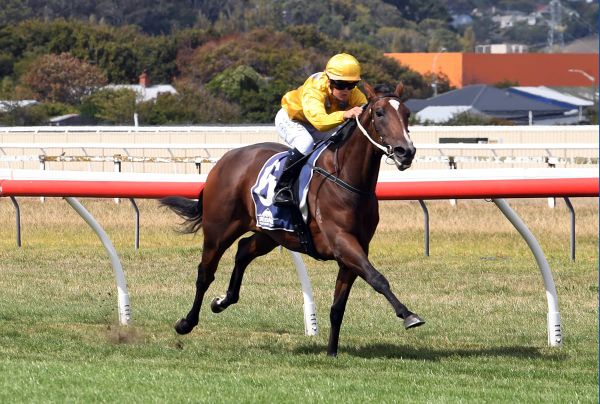 War Princess dominant in Wanganui opener