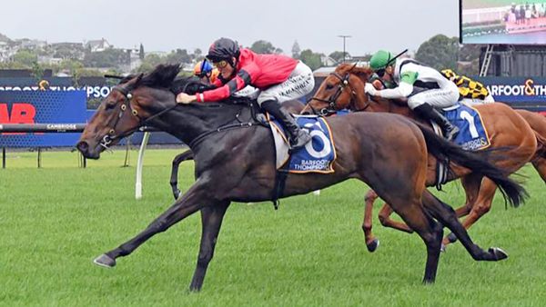 Champions Day Shaping Up as Career Highlight for Clotworthys