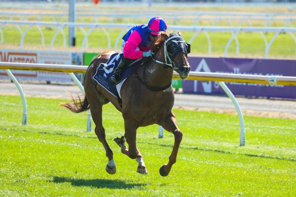 Stakes test looming for Walsh pair