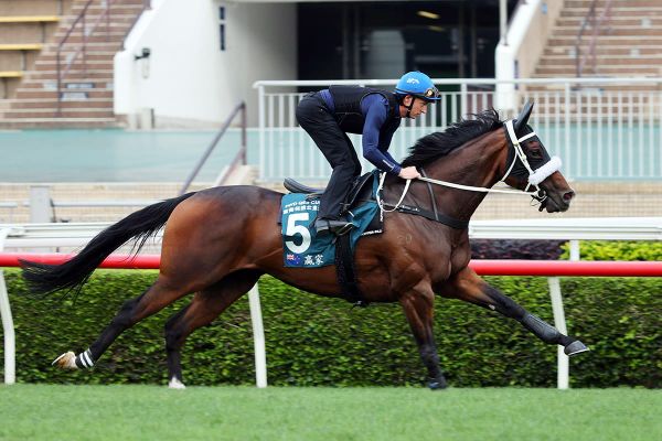 Ace draw for El Vencedor in Hong Kong