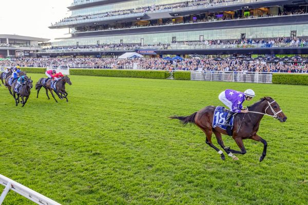 Aeliana’s connections open minded on spring plans