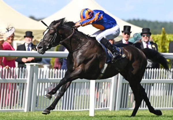 Windsor Park announce 2025 stallion fees