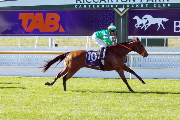 Finnegan flyer is first-up winner