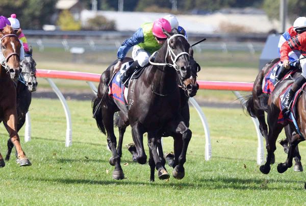 Derby tilt beckons Campbell’s emerging three-year-old