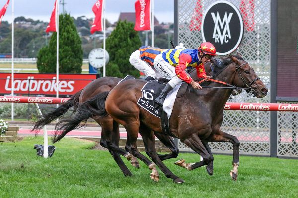 Dirty Grin continues purple patch