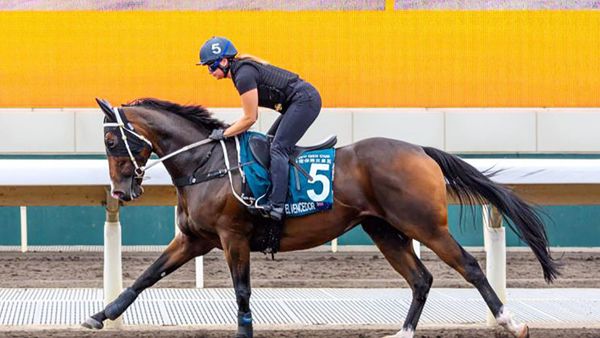 Hong Kong fairytale not to be for EV