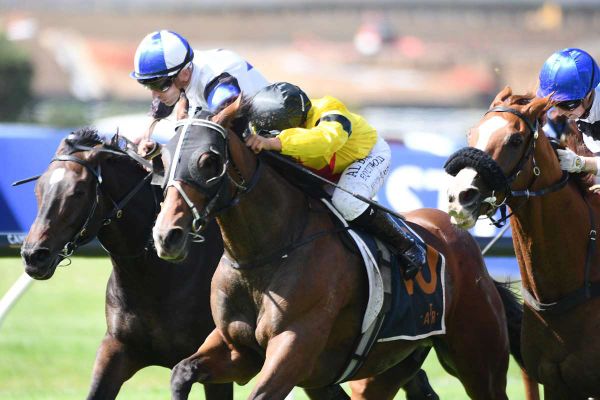 McCarroll’s bargain mare a gilt-edged investment