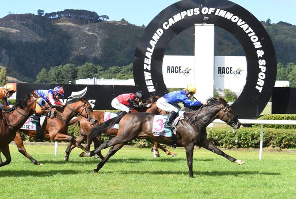 Low-priced Faultless lands Trentham upset