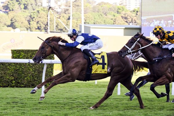 Jimmysstar connections undecided on next step