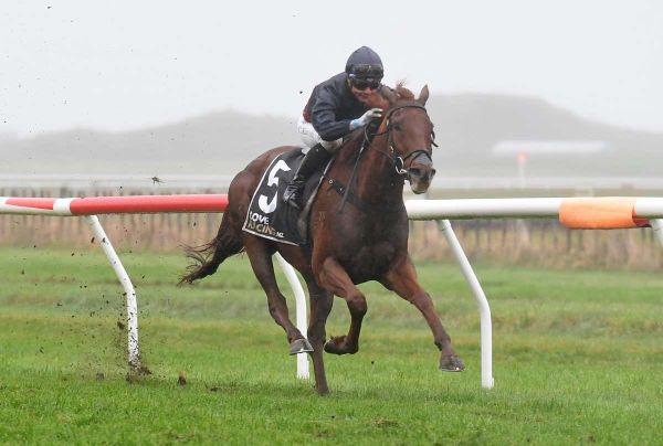 Winter rivalry brewing for Hocquard pair