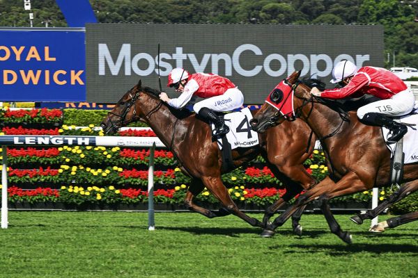 Lilac adds further stakes success to burgeoning record