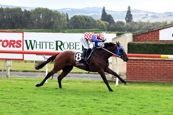 Dennis Chasing Southern Cups Bonus Riches