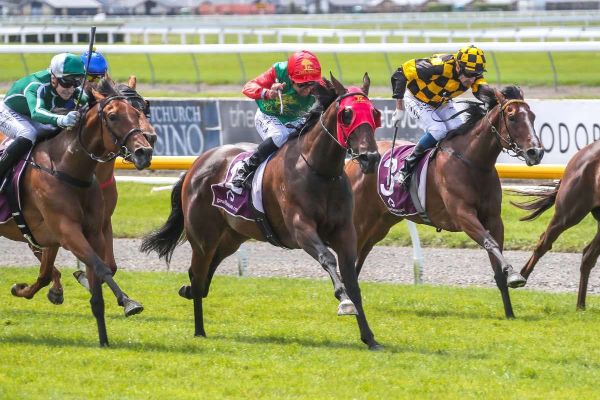 Group One-winning mare passes away