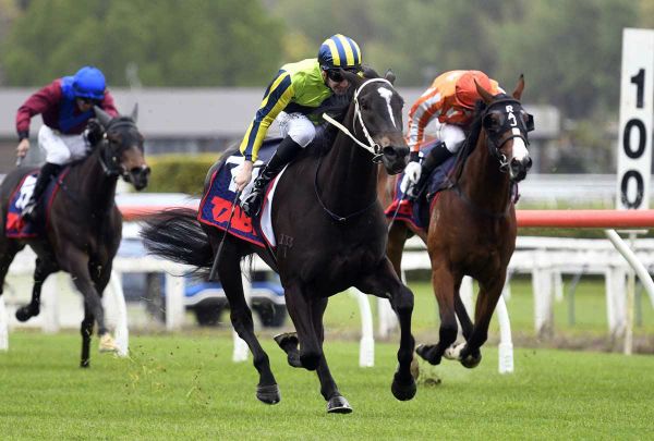 Marsh expecting bold Sydney showing from filly