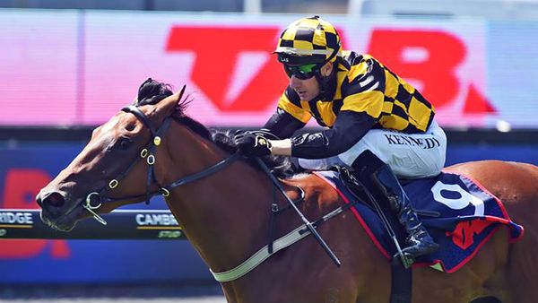 Talented filly poised to shine in the Champagne Stakes