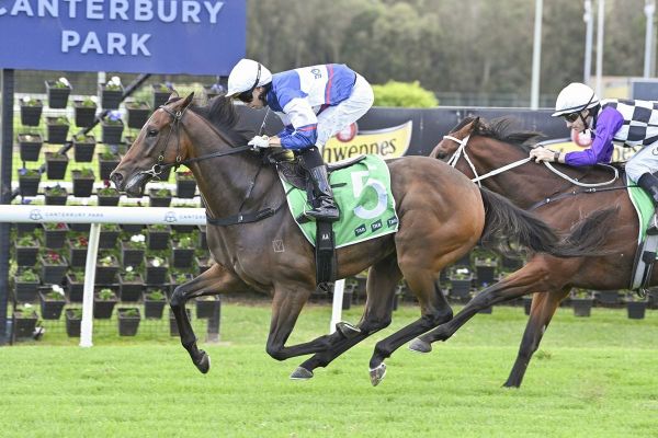 Smart Go Racing 3yo on Derby path