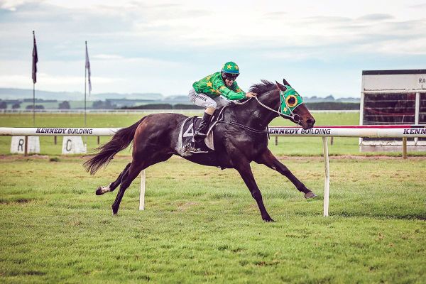 Mayor Norwood proves superior with commanding Riverton Cup victory