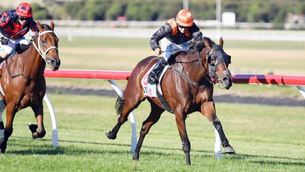 Mehzebeen returns to her happy hunting ground