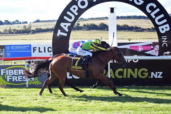 Australia Beckons for Riccarton Stakes Contender