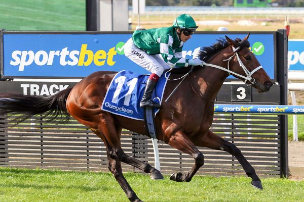 Oaks target for Movin Out