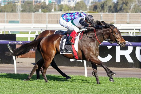 Mr B Set for Flemington Jump-Out Appearance