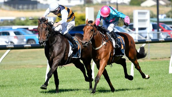 Mustang Morgan Kicks Off Derby Campaign Fresh