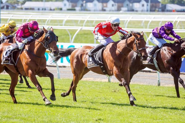 Pitman stable set sights on local stakes double