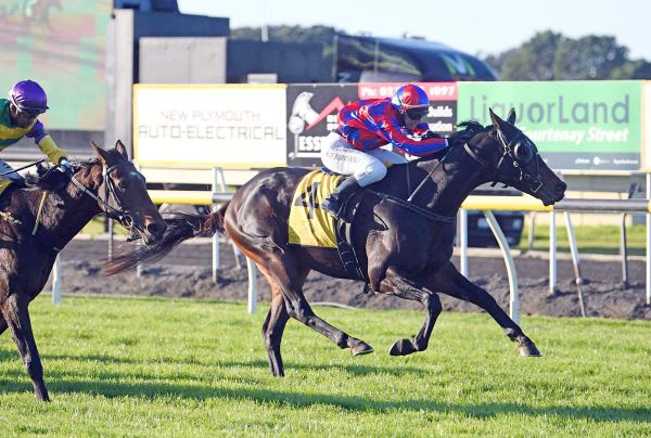 Orlov leading brother act for Haworth team