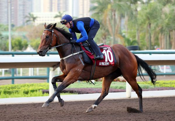 Big weekend ahead for Auret